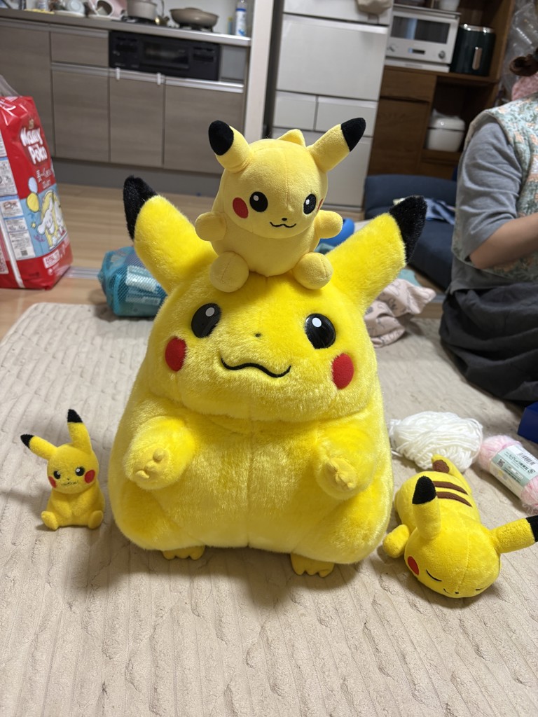 ポケットモンスター ポケモン30周年記念 おかえり！ピカチュウ1/1
