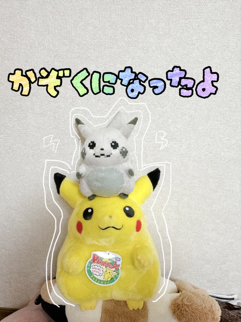 ポケットモンスター ポケモン30周年記念 おかえり！ピカチュウ1/1