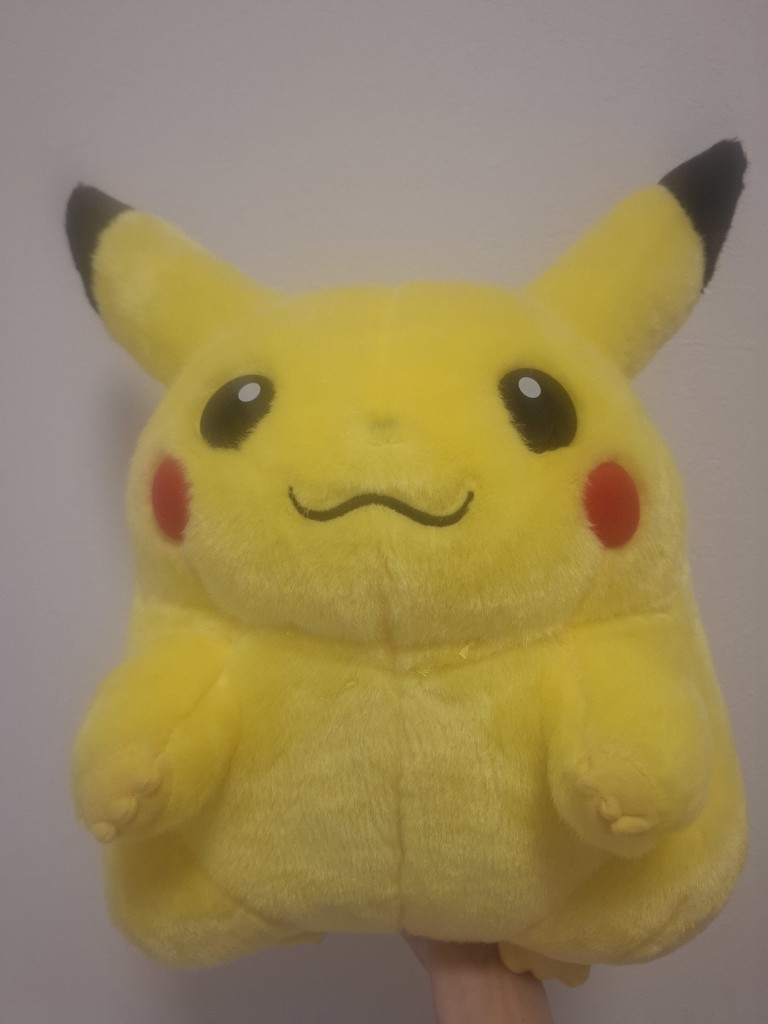 ポケットモンスター ポケモン30周年記念 おかえり！ピカチュウ1/1