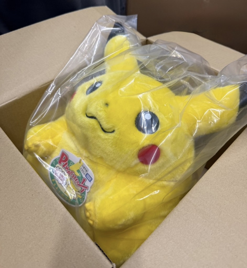 ポケットモンスター ポケモン30周年記念 おかえり！ピカチュウ1/1