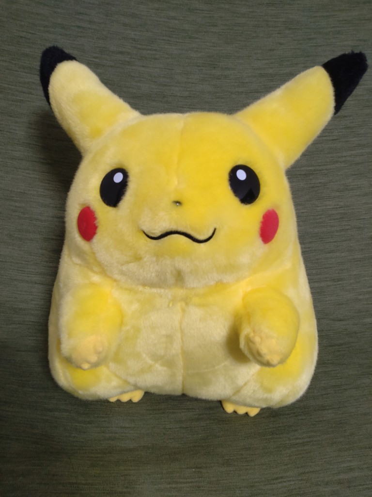 ポケットモンスター ポケモン30周年記念 おかえり！ピカチュウ1/1