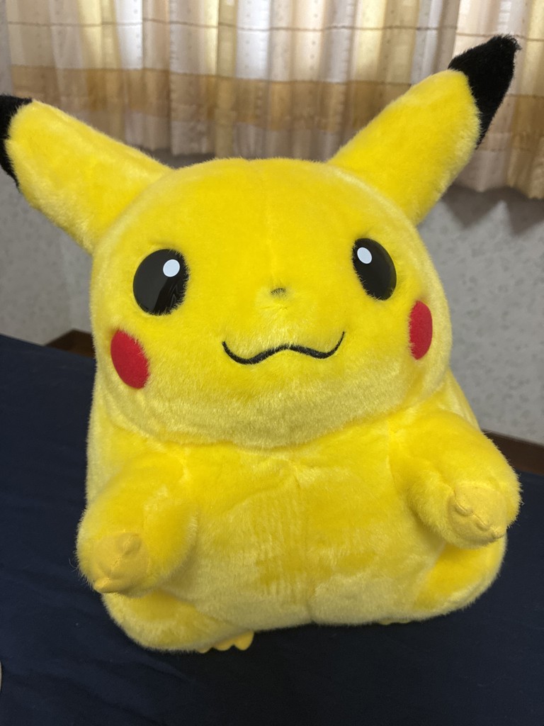 ポケットモンスター ポケモン30周年記念 おかえり！ピカチュウ1/1