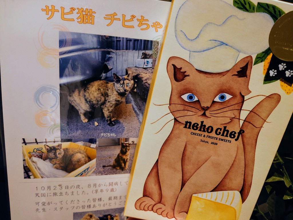 投稿写真