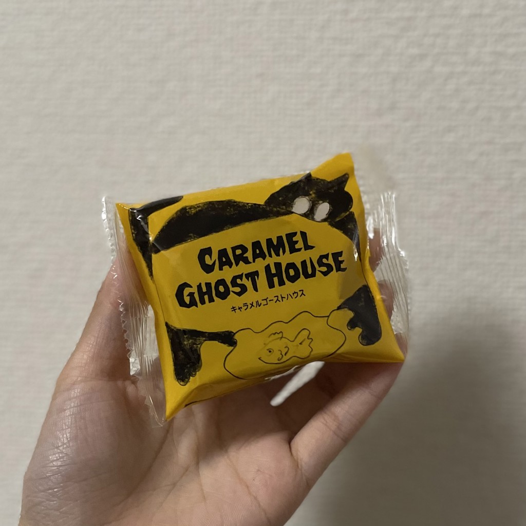 投稿写真