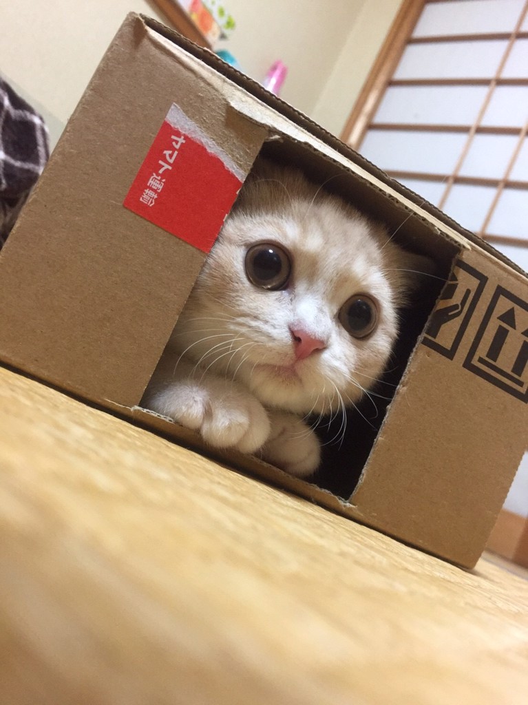 ユーザー写真