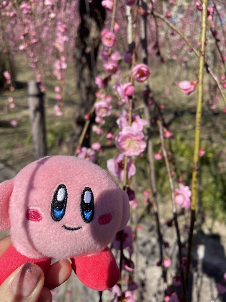 ユーザー写真