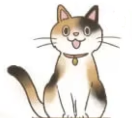 投稿写真
