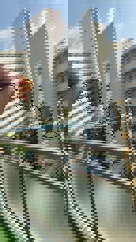 ZEROGRA ZEG-C01(ﾌﾞﾗｯｸﾏｯﾄ): メガネフレーム｜眼鏡市場【公式