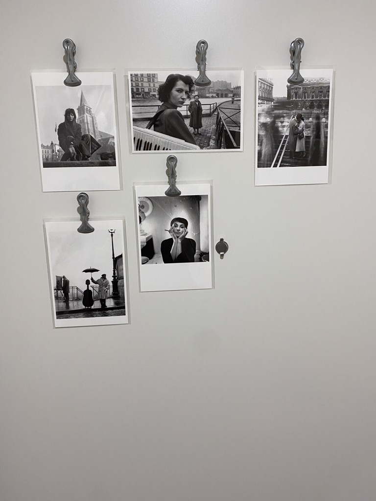 投稿写真