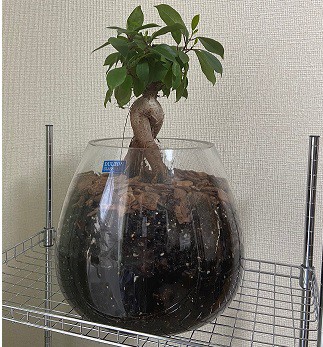 ユーザー写真