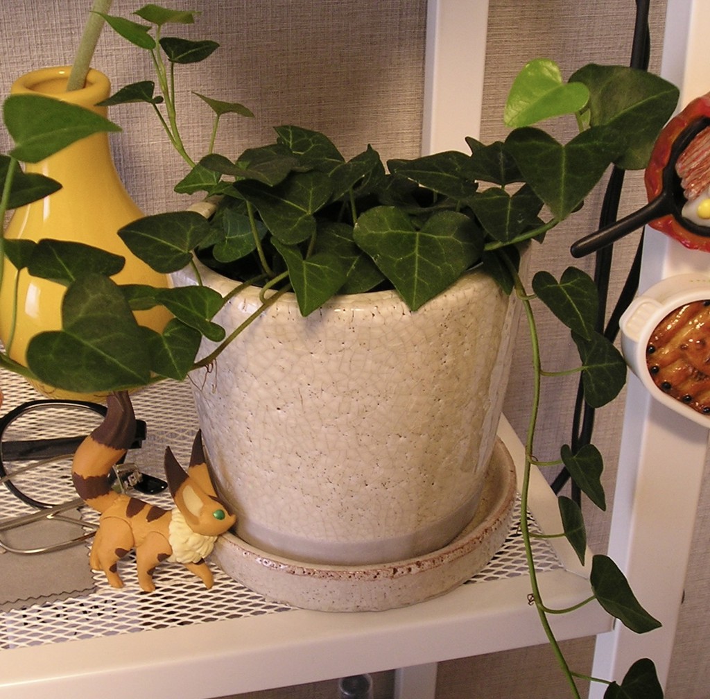 ユーザー写真