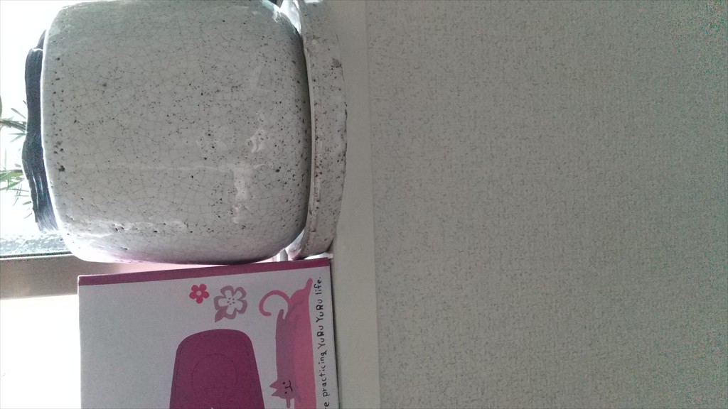 ユーザー写真