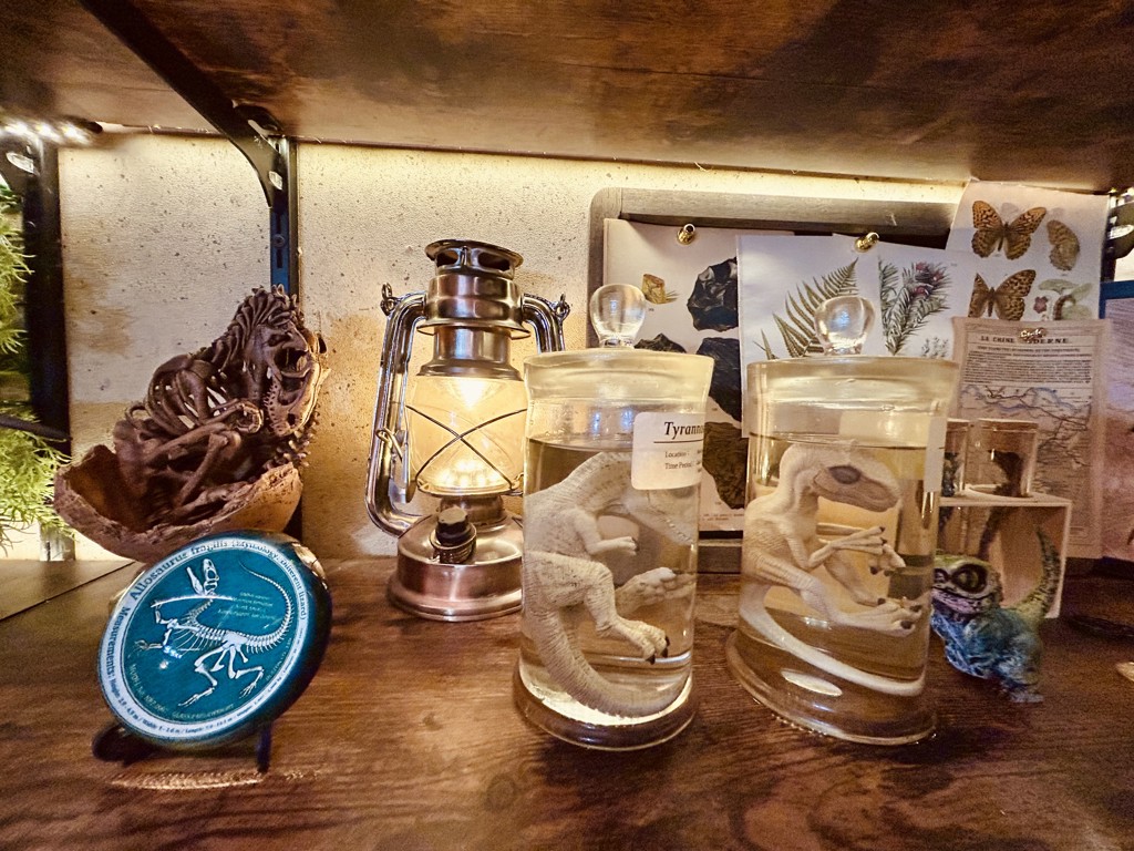 投稿写真