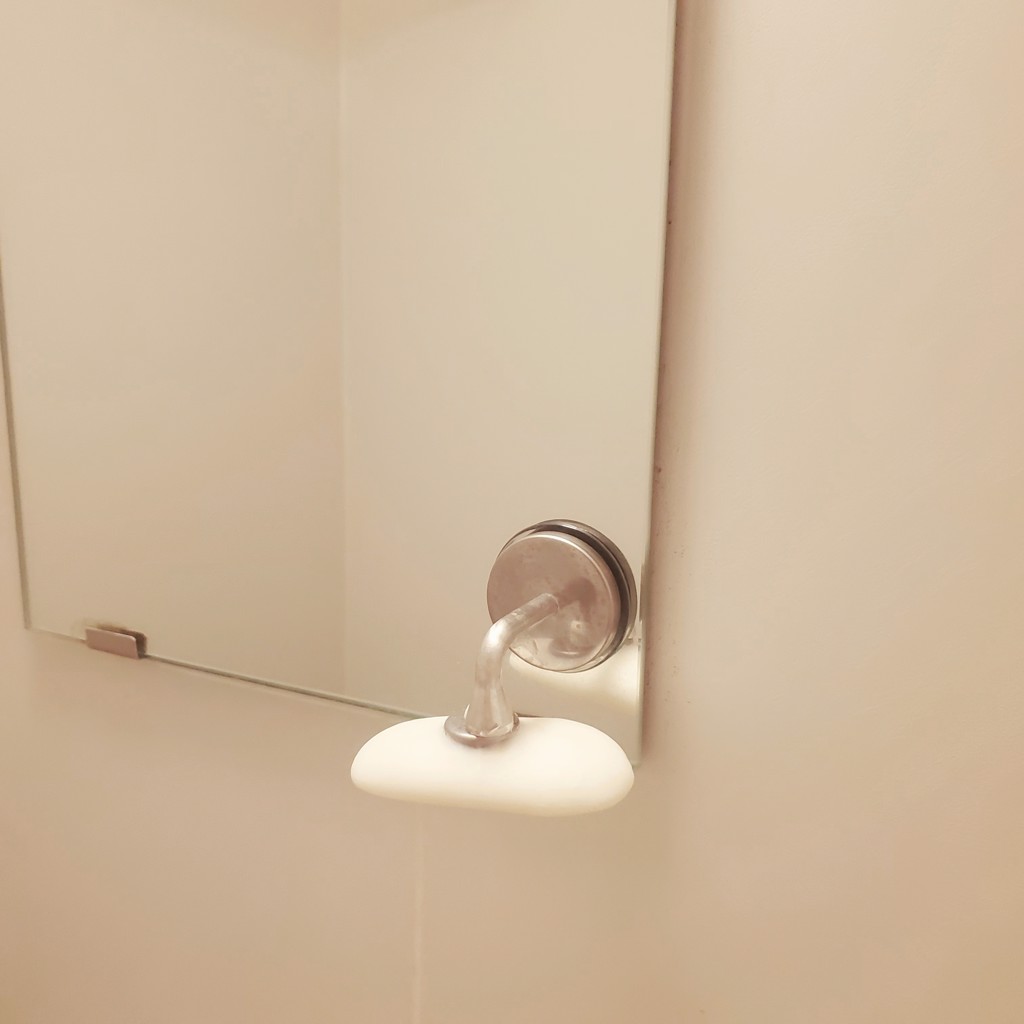 投稿写真