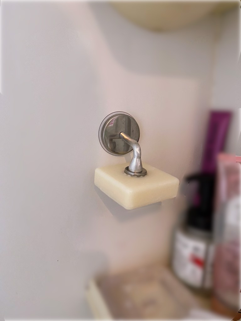 投稿写真