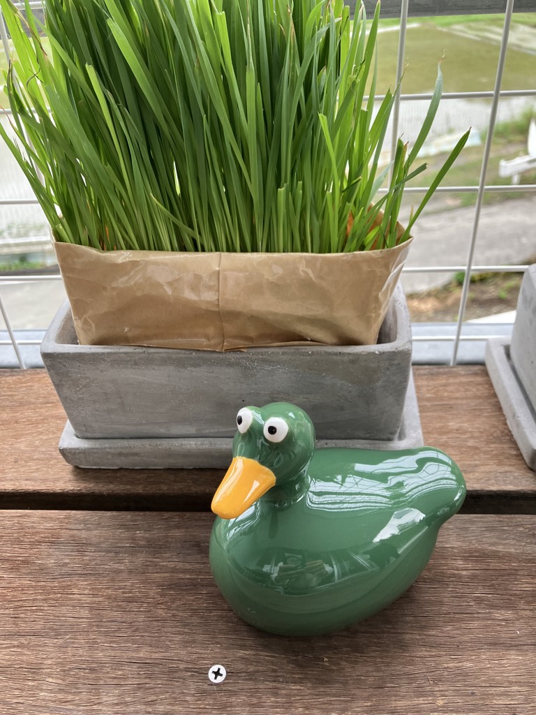 DULTON ONLINE SHOP | FLOATING DUCK GREEN(GREEN): インテリア雑貨