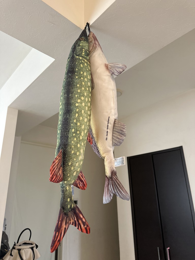 DULTON ONLINE SHOP | FISHES ZANDER 75(ZANDER): インテリア雑貨 DULTON ONLINE SHOP | FISHES ZANDER 75(ZANDER): インテリア雑貨