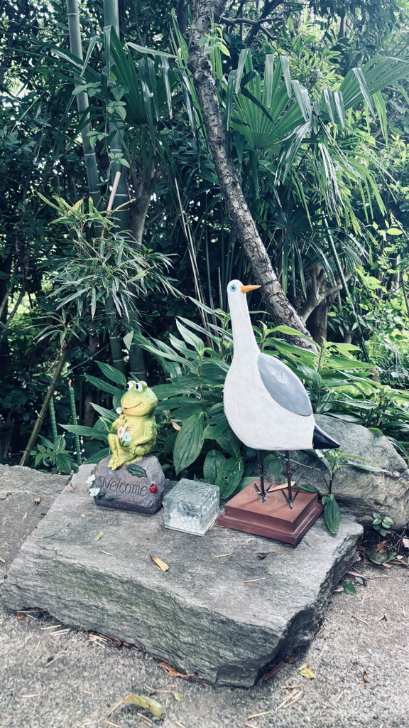 投稿写真