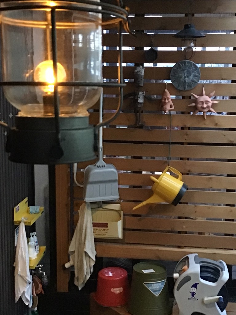 投稿写真