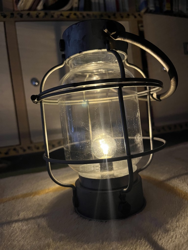 DULTON ONLINE SHOP | L.E.D LANTERN A.SILVER B(B): インテリア雑貨