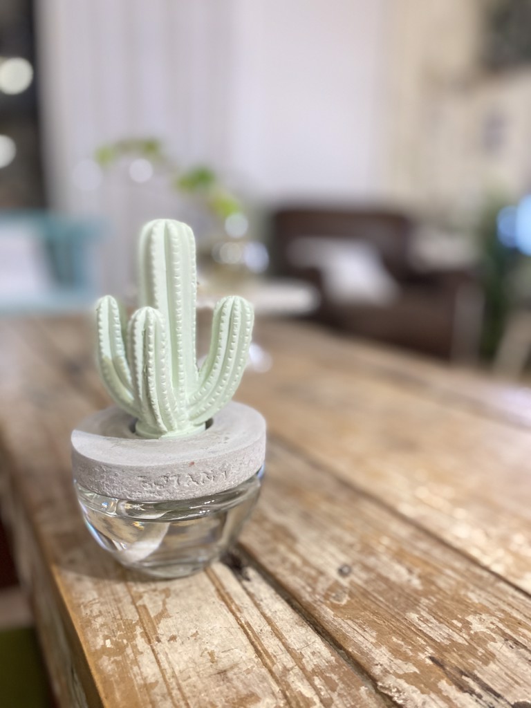 DULTON ONLINE SHOP | CACTUS FRAGRANCE DIFFUSER A E.PEONY(A/ELEGANT PEONY):  ハウスウェア