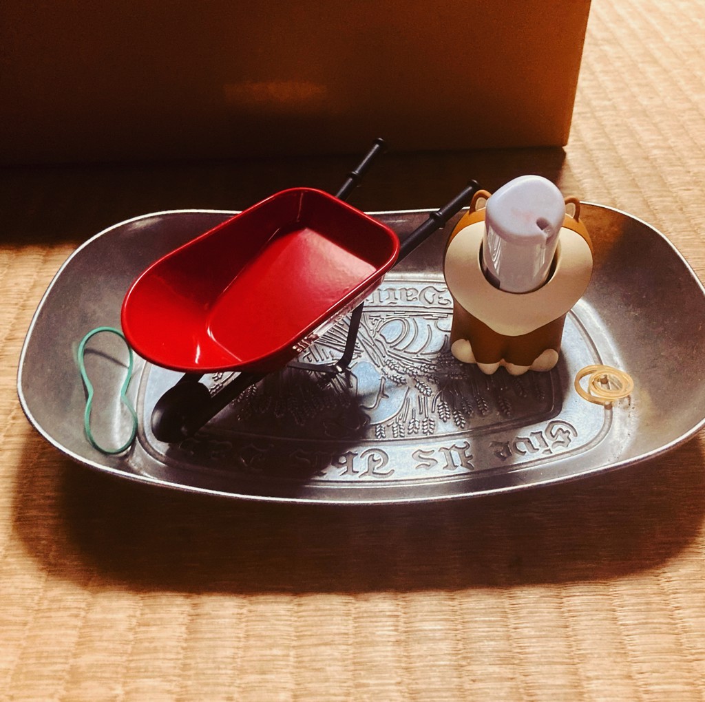 投稿写真