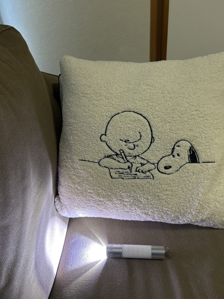 投稿写真