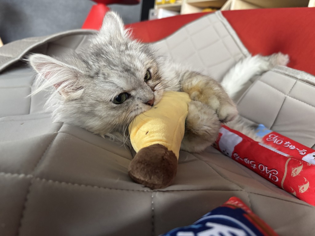 DULTON ONLINE SHOP | PLUSH TOY BANANA(BANANA): ホーム用品
