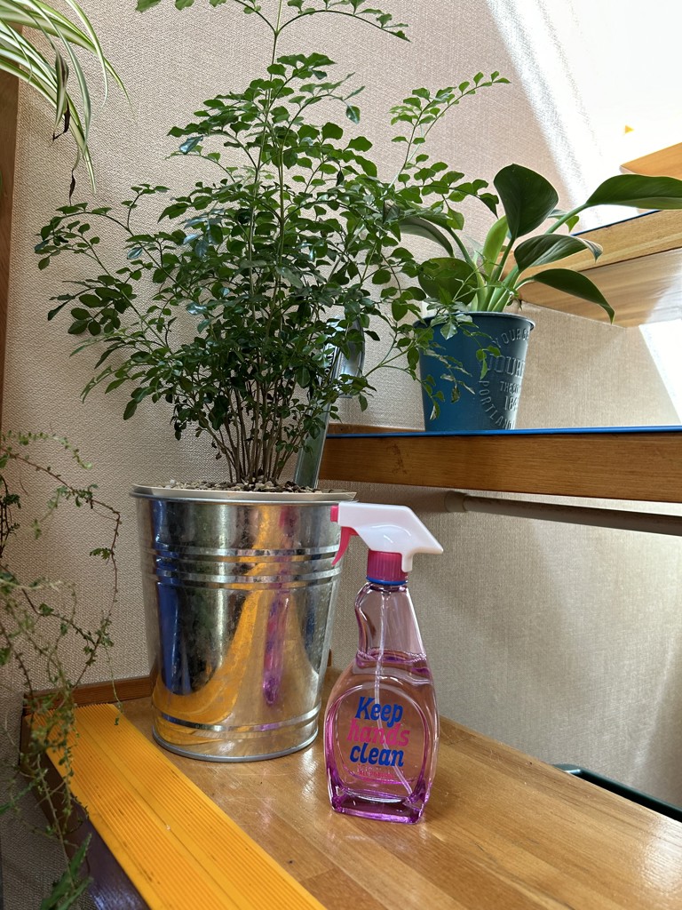ユーザー写真