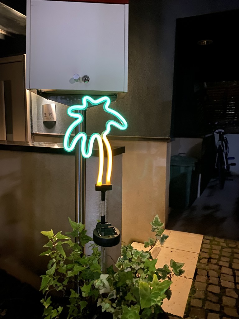 DULTON ONLINE SHOP | SOLAR NEON LIGHT PALM TREE(PALM TREE): インテリア雑貨