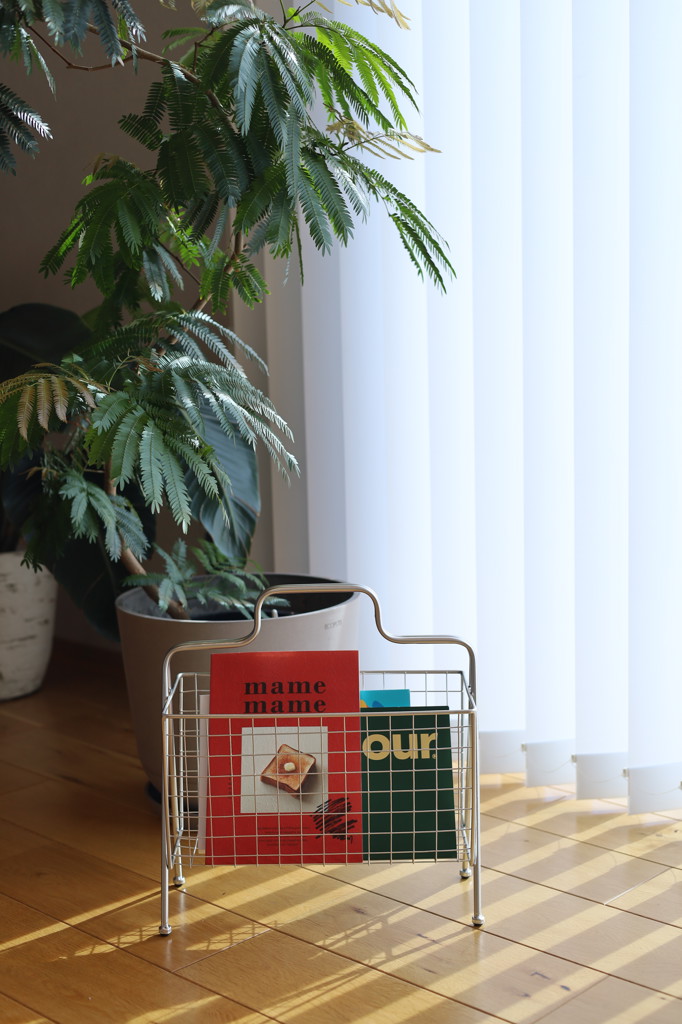 DULTON ONLINE SHOP | MAGAZINE RACK IRON(IRON): ホーム用品