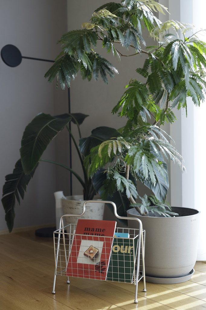 DULTON ONLINE SHOP | MAGAZINE RACK IRON(IRON): ホーム用品