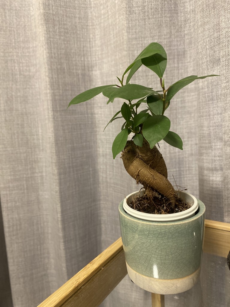 ユーザー写真