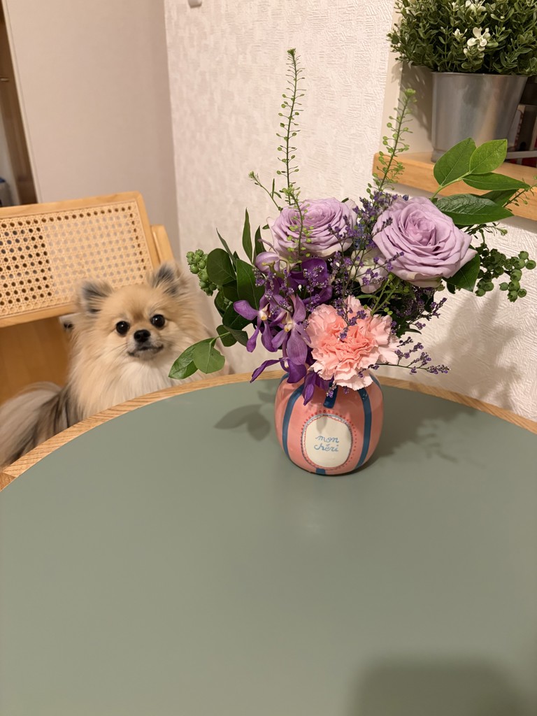 投稿写真