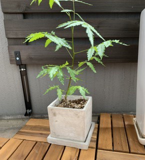 ユーザー写真