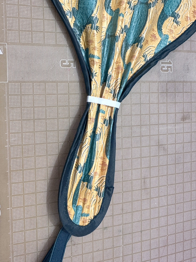投稿写真