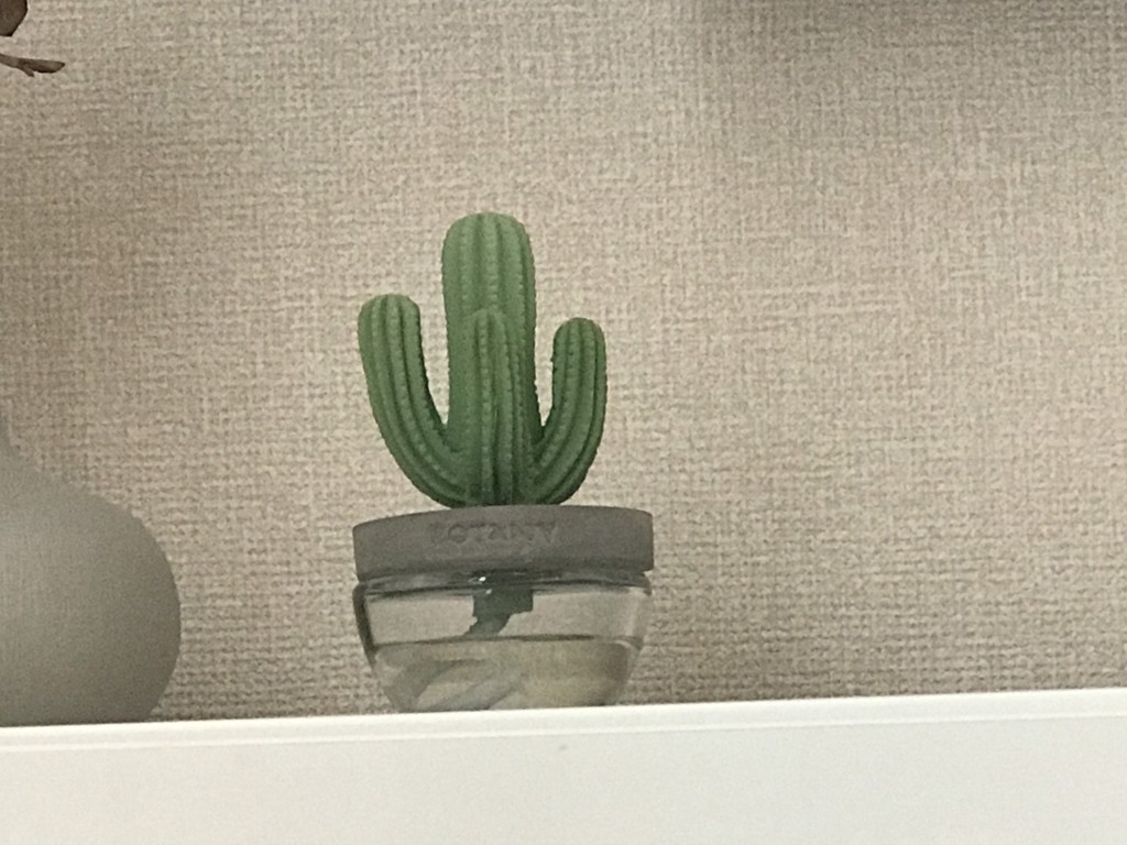 投稿写真