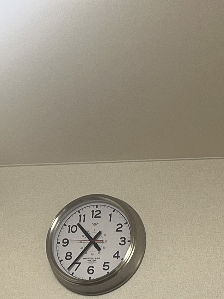 投稿写真