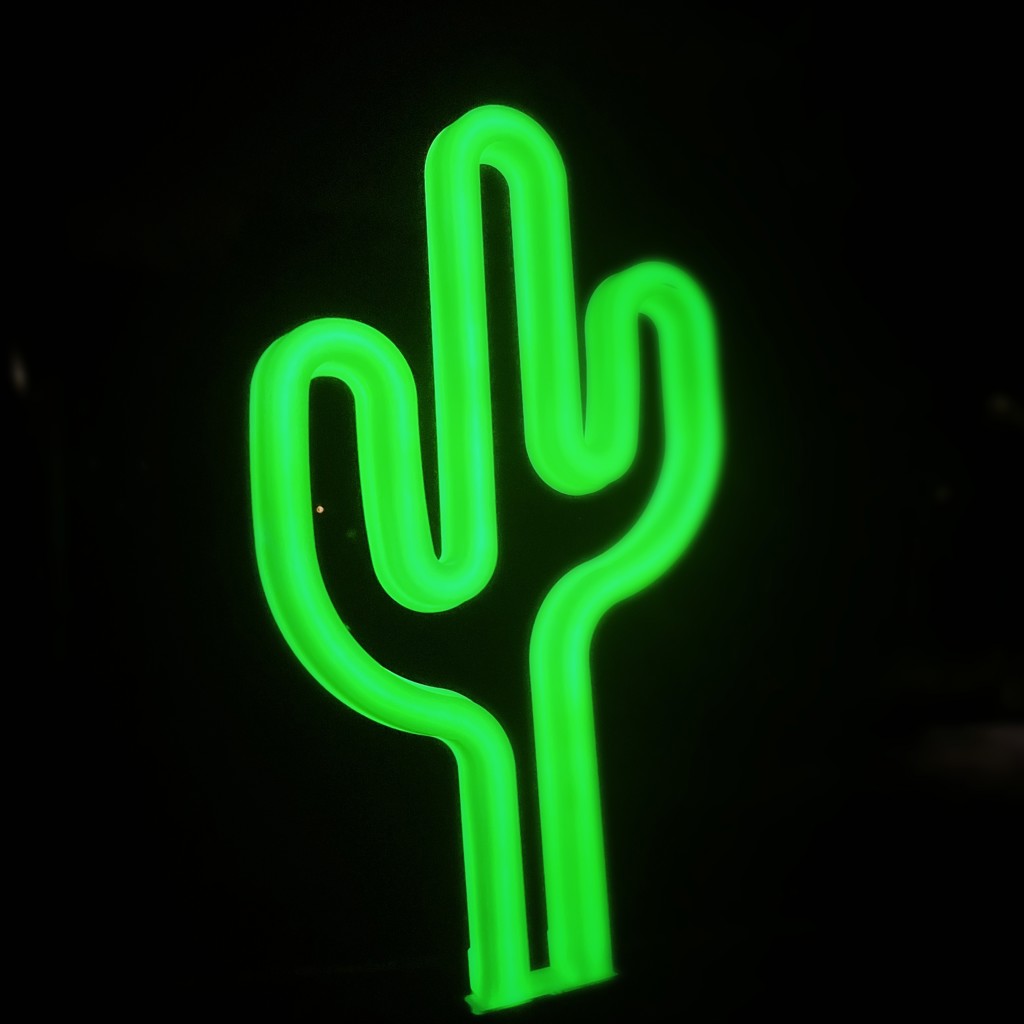 DULTON ONLINE SHOP | SOLAR NEON LIGHT CACTUS(CACTUS): インテリア雑貨