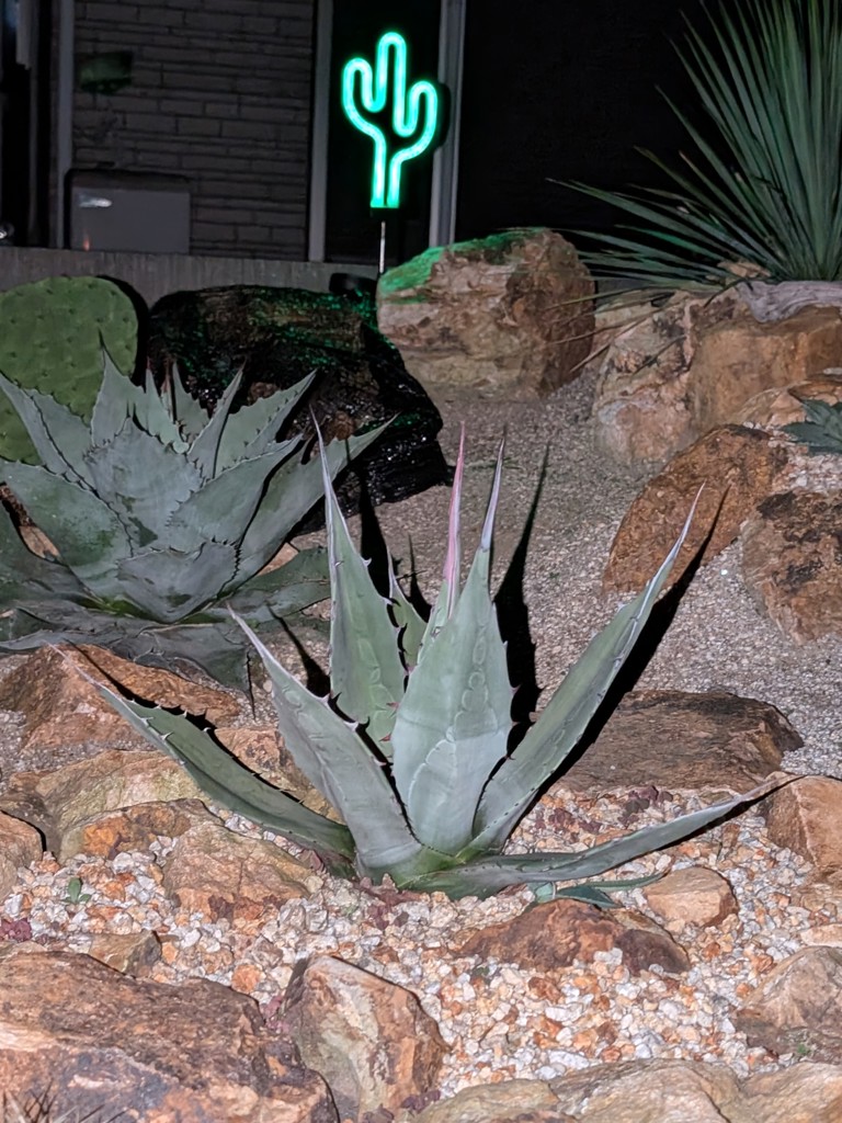 投稿写真