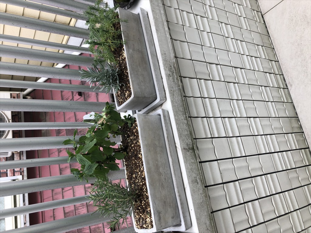 投稿写真