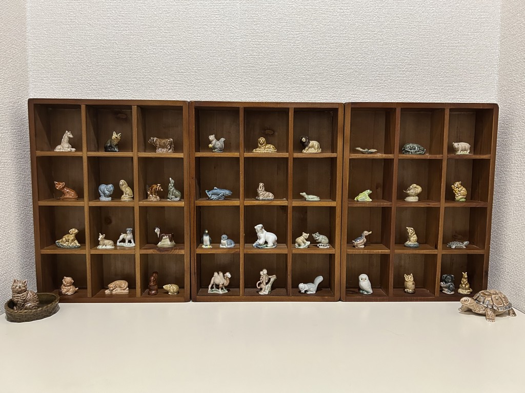 ユーザー写真
