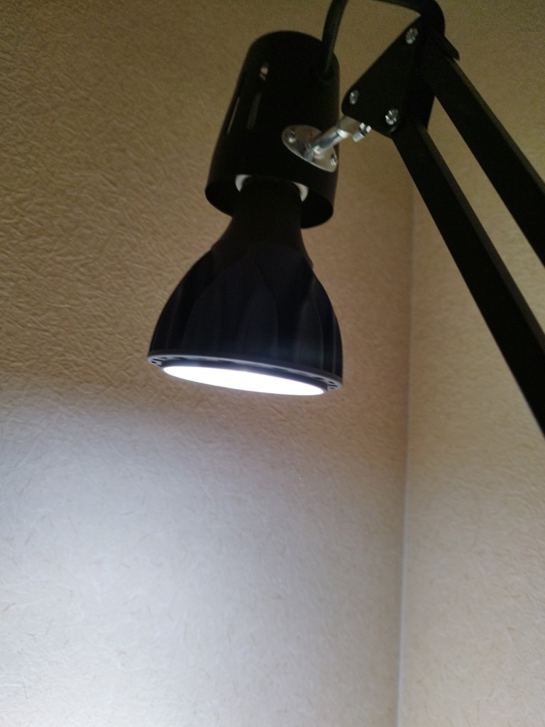 DULTON ONLINE SHOP | Helios Green LED(24W): ガーデン& グリーン