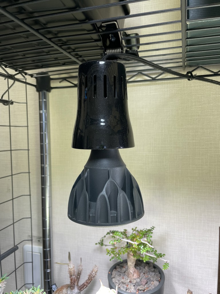 DULTON ONLINE SHOP | Helios Green LED(24W): ガーデン& グリーン