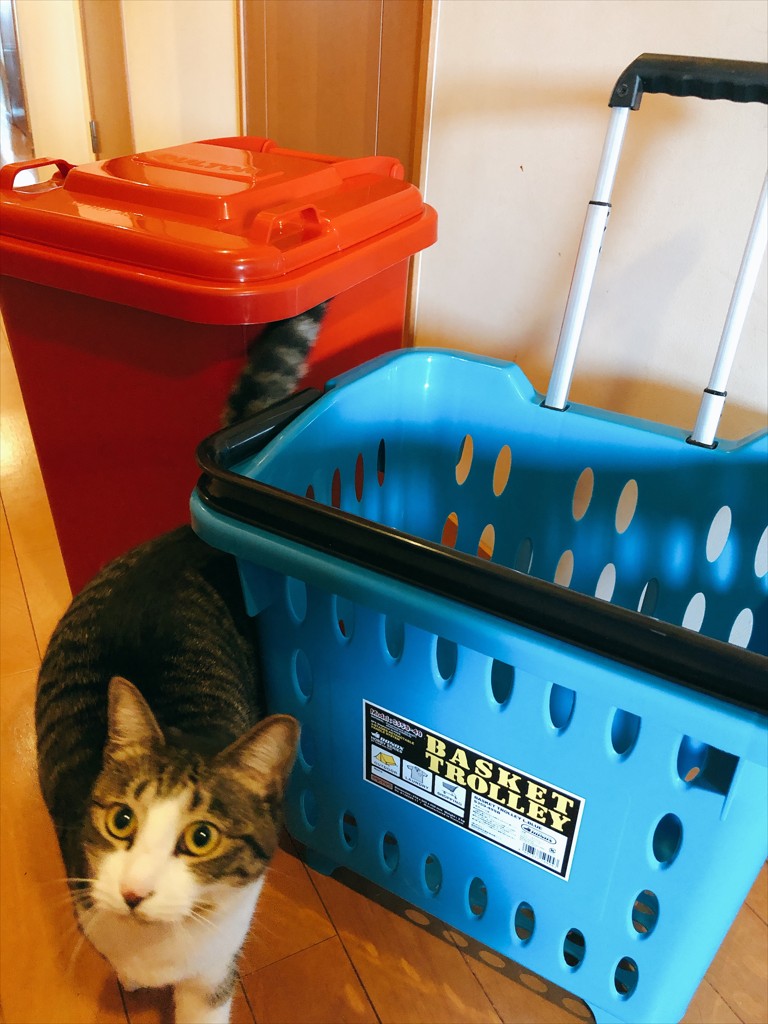 投稿写真