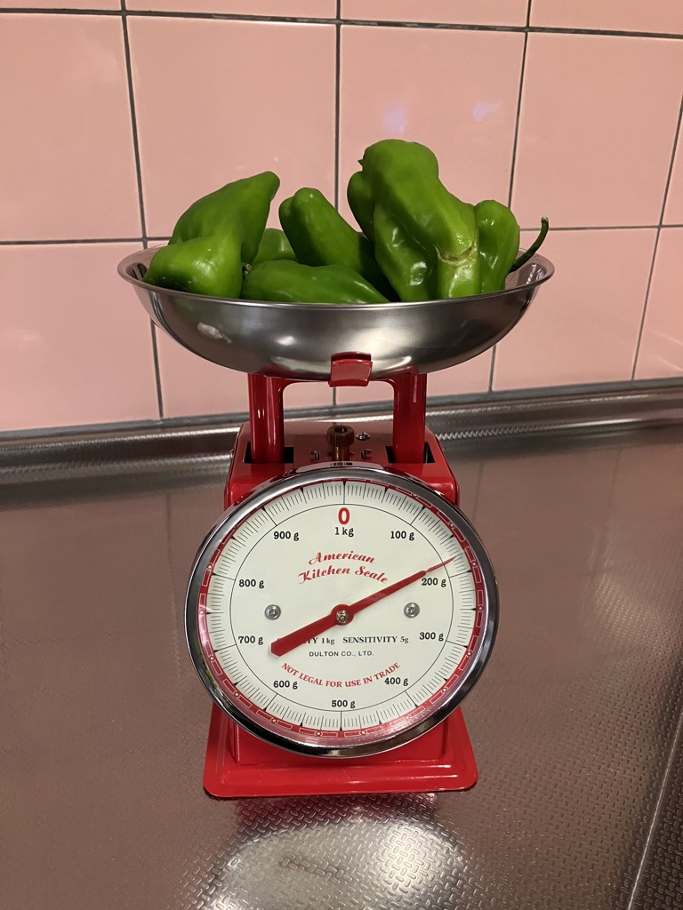 DULTON ONLINE SHOP | AMERICAN KITCHEN SCALE RED(RED DULTON ONLINE SHOP | AMERICAN KITCHEN SCALE RED(RED