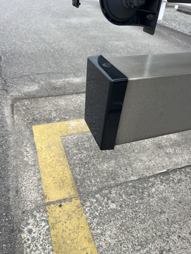 投稿写真