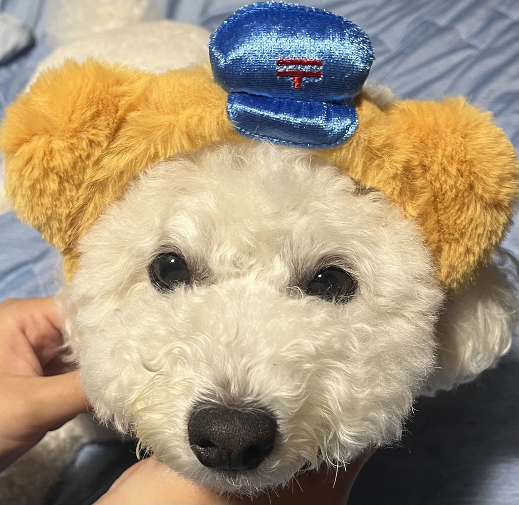 ぽすくまのふわふわカチューシャ｜郵便局のネットショップ