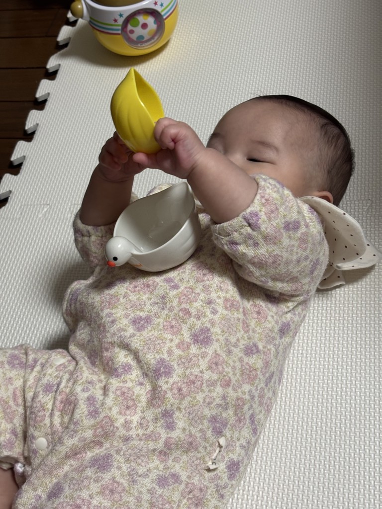 コンビ公式ブランドストア限定】バストイセット｜コンビ公式ブランドストア