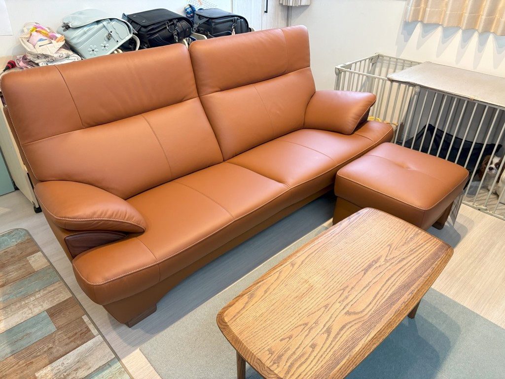 カリモクフェア対象品】［カリモク］【地域限定】3人掛けソファ